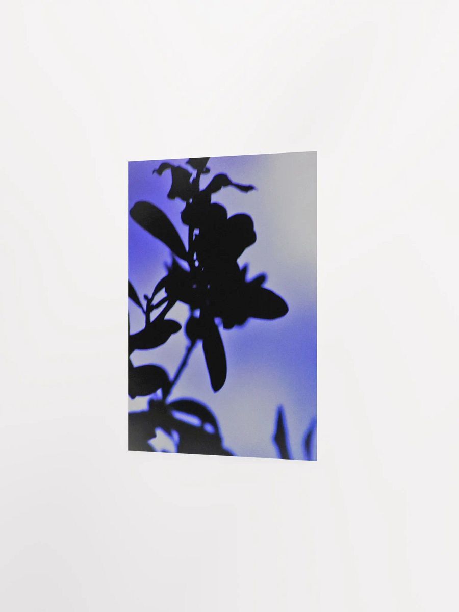 Blue Plant Glow product image (24)