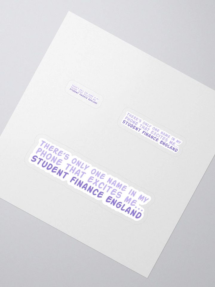 Student Finance Sticker product image (2)
