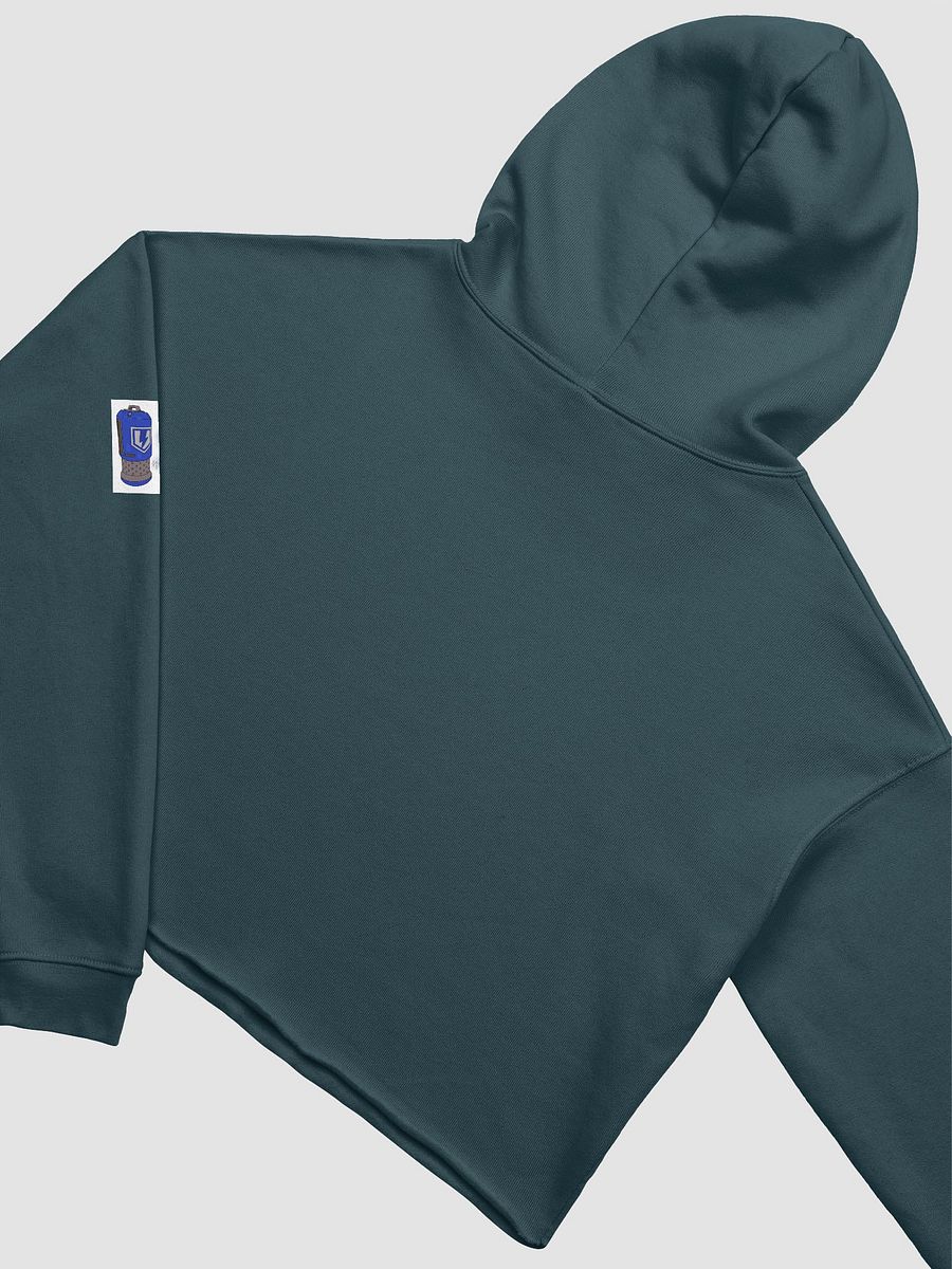 SinisterSushii Big ol' Battery Cropped Hoodie product image (31)