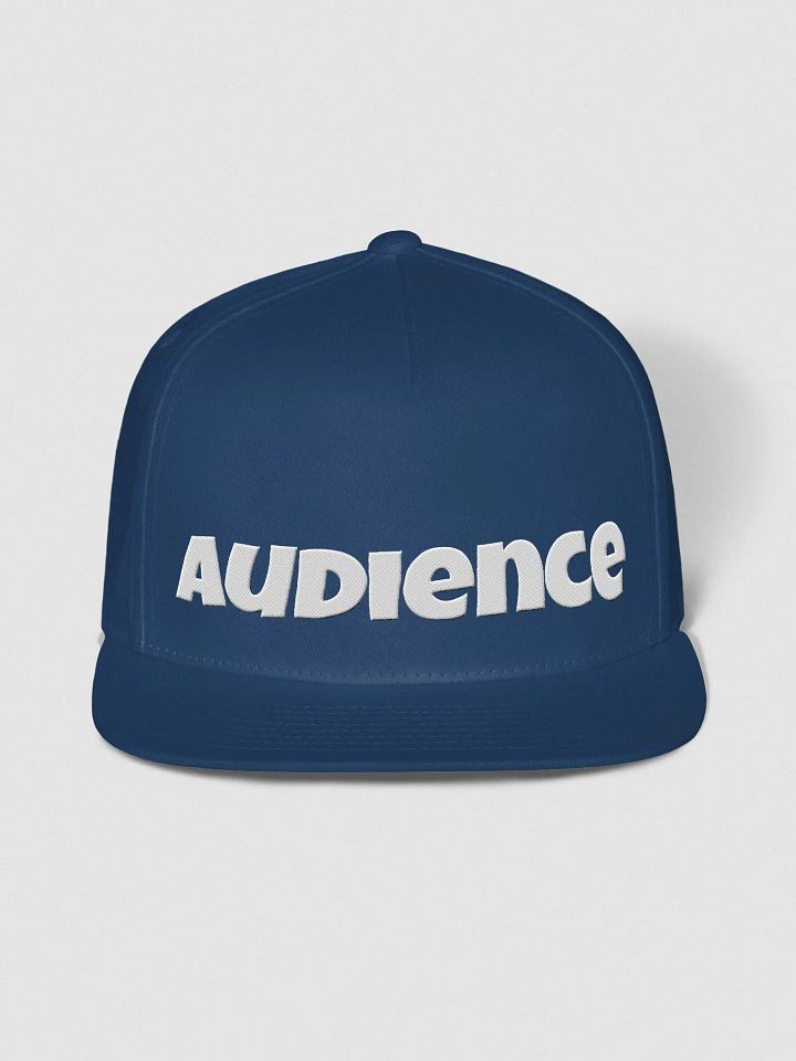 "Audience" flat snapback hat product image (1)