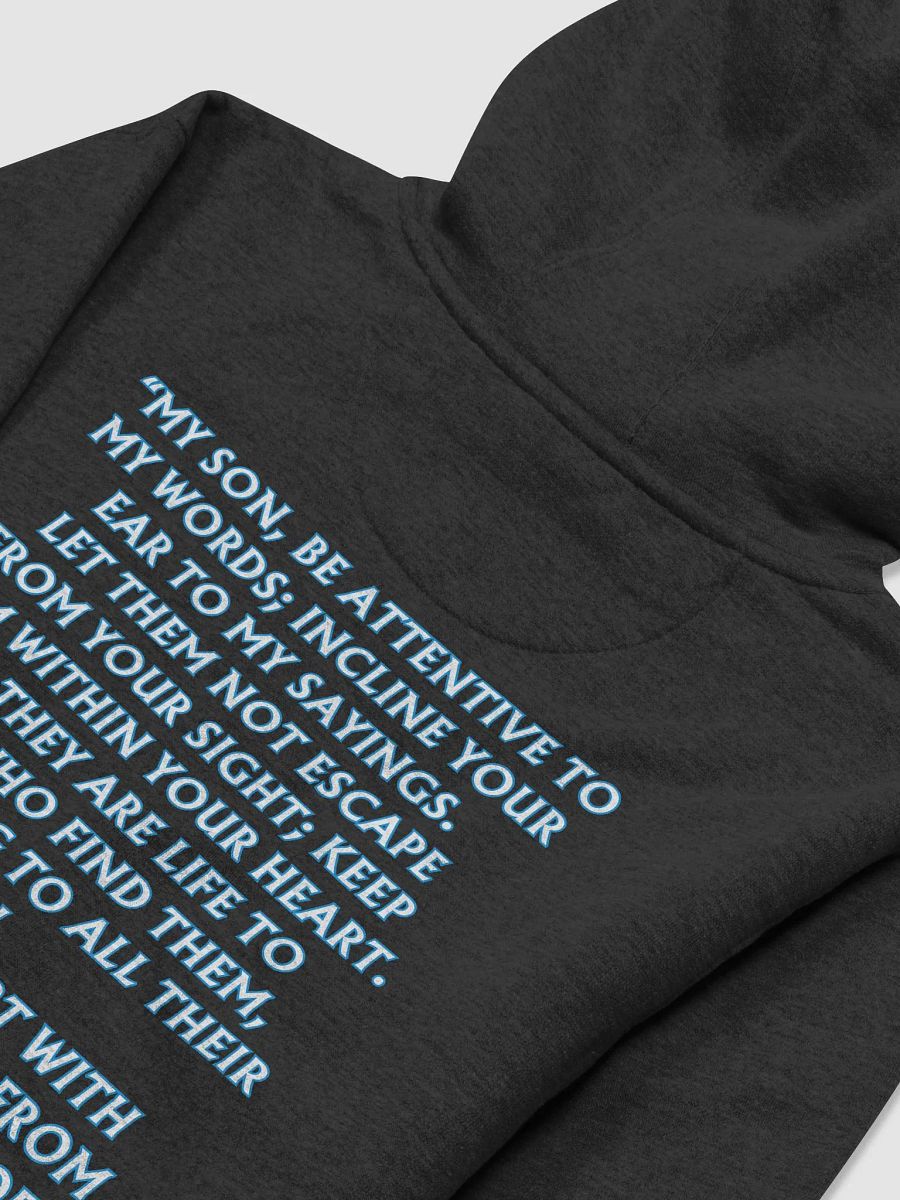 WOLM Hoodie product image (4)