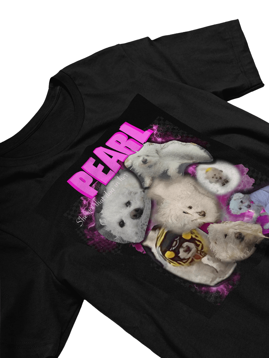 DJ Pearl product image (3)