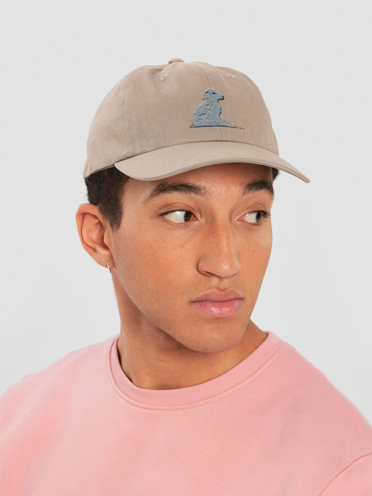 Gentle Shepherd Christian Dad Hat - Stone | Isaiah 40:11 product image (6)