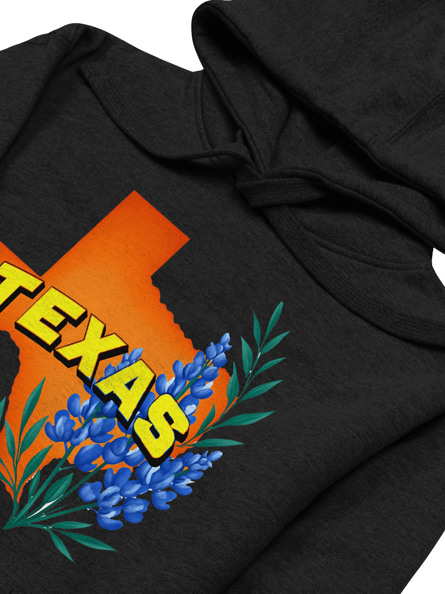 Texas State of Mind Premium Hoodie product image (3)