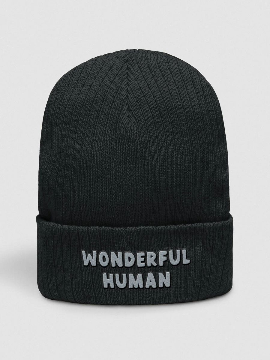 Wonderful Human Beanie product image (2)