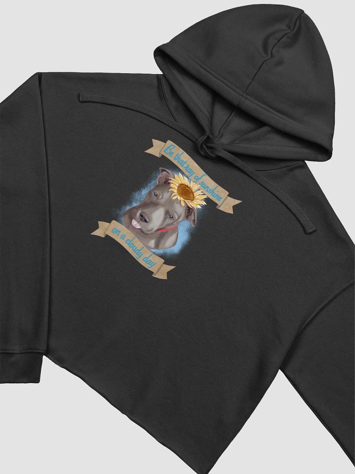 Sunny Cropped Hoodie product image (1)