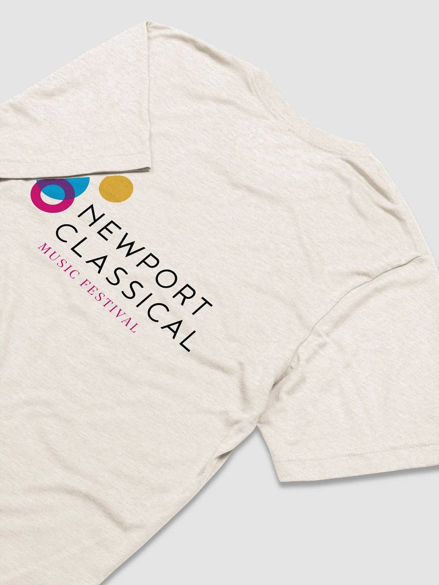 Festival T-Shirt product image (4)