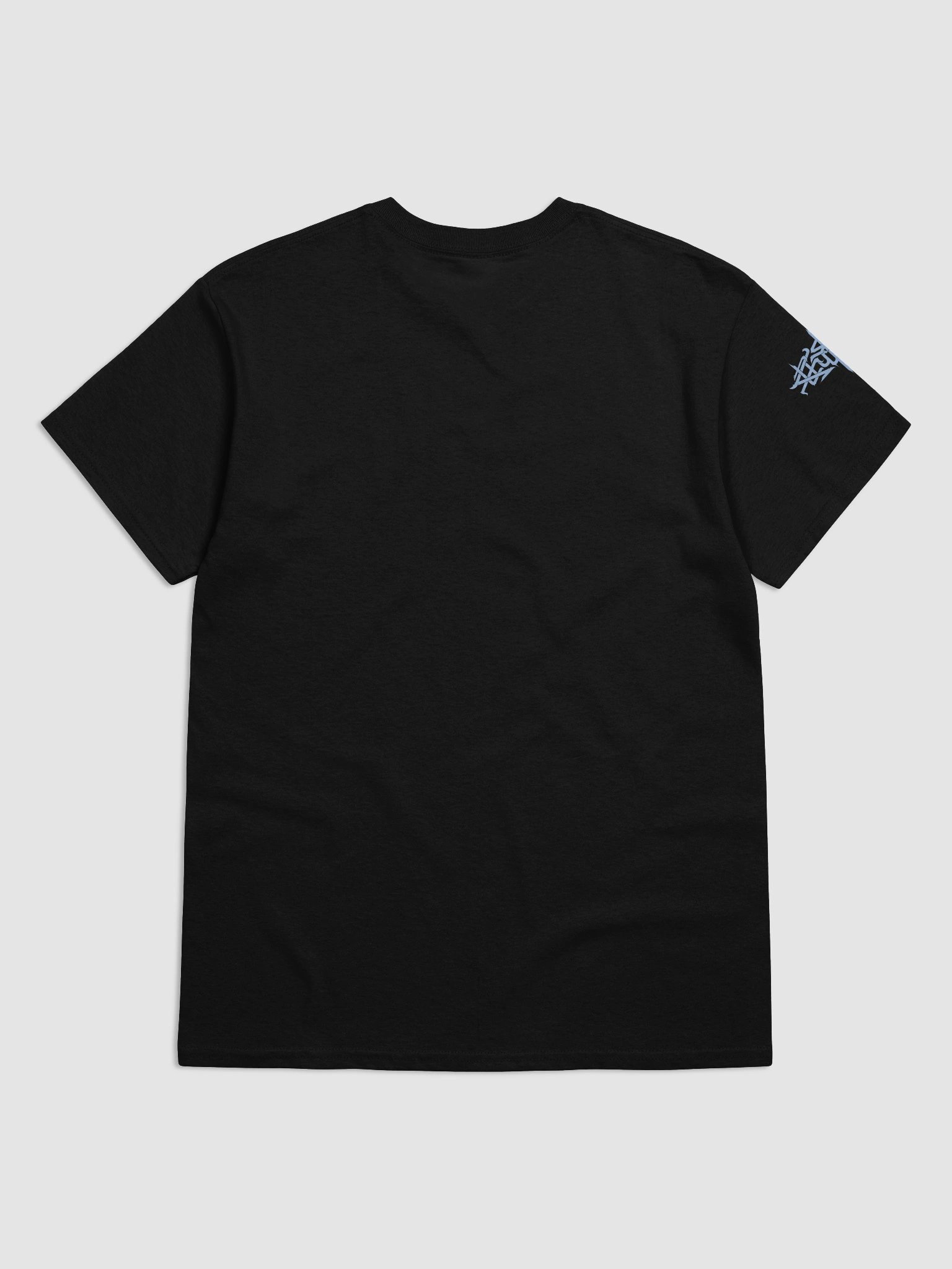 The Man Who Passed the Torch T-shirt product image (17)