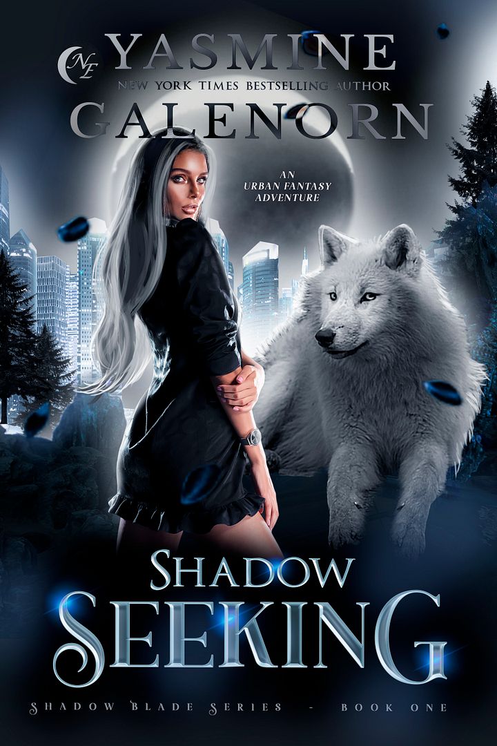Shadow Seeking product image (1)