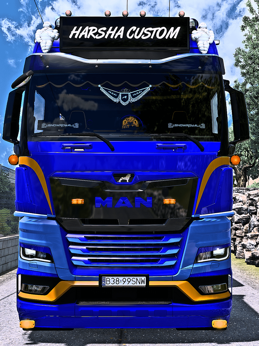 DEN ENGELSEN MAN TGX 2020 8K Skin product image (6)