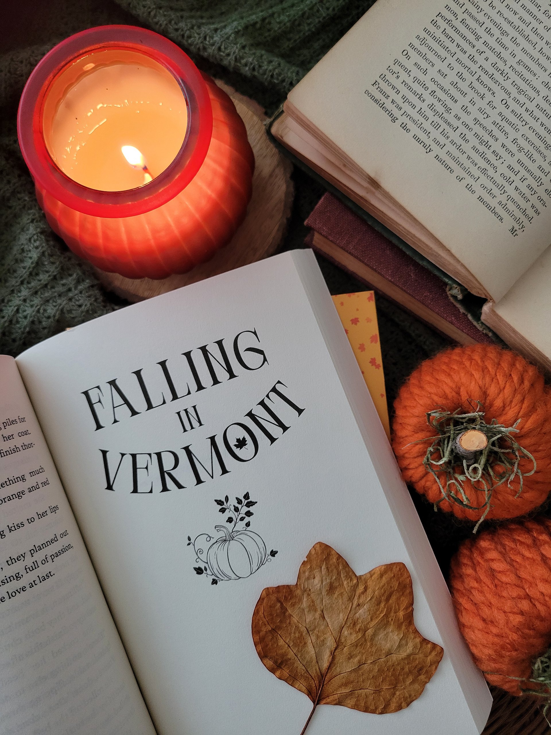 Cozy Nights in Vermont: Vol 1 (Signed Paperback) product image (3)