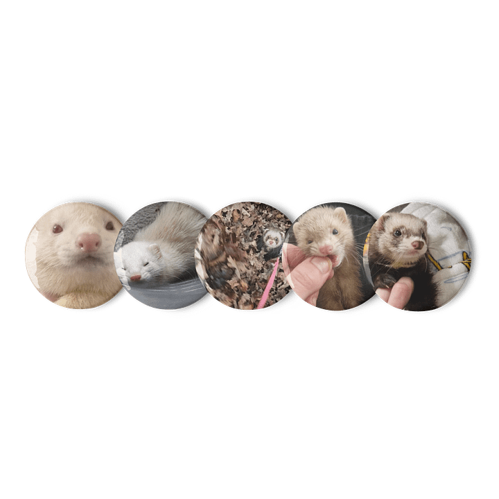 Ferret Pins product image (1)