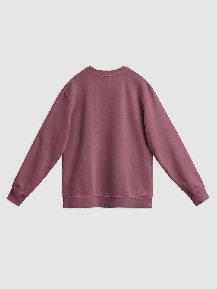 Bubbly and a B*tch (sm. lined design, #6D1616) printed pigment crewneck product image (18)