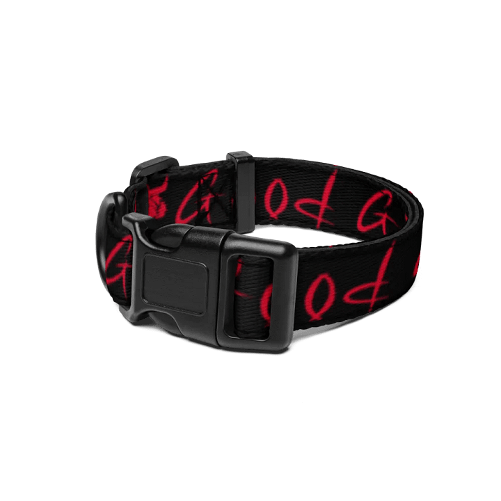 Good Girl Collar product image (1)