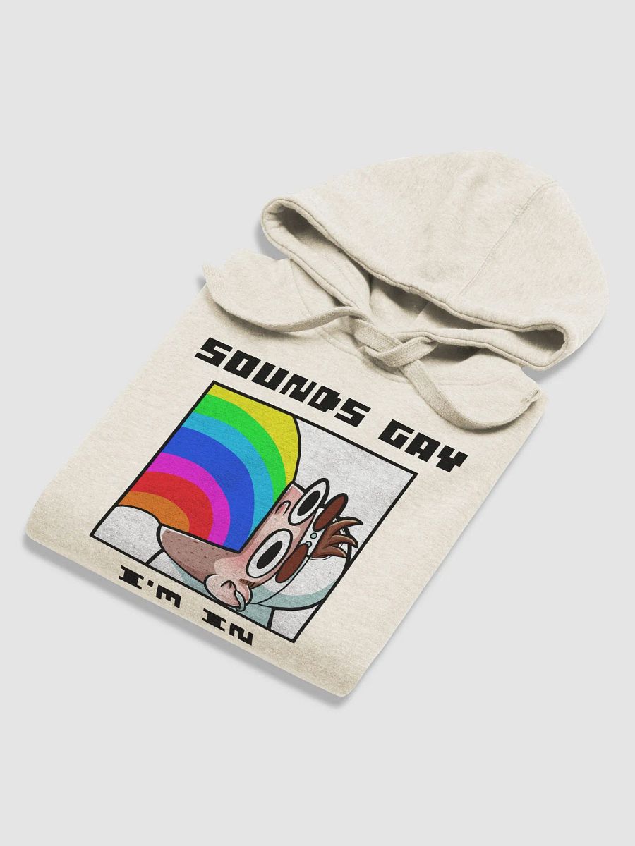 Sounds Gay I'm In Premium Hoodie product image (3)