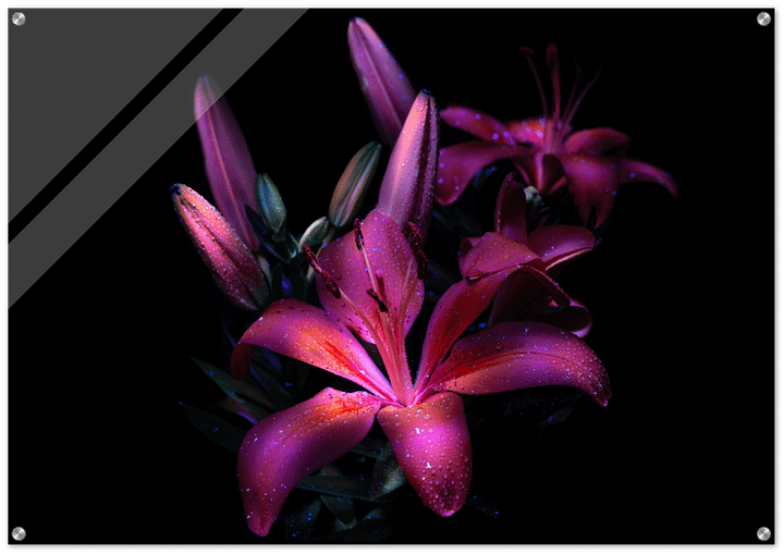 MAJESTIC FLOWER GLOSSY ACRYLIC PRINT product image (1)