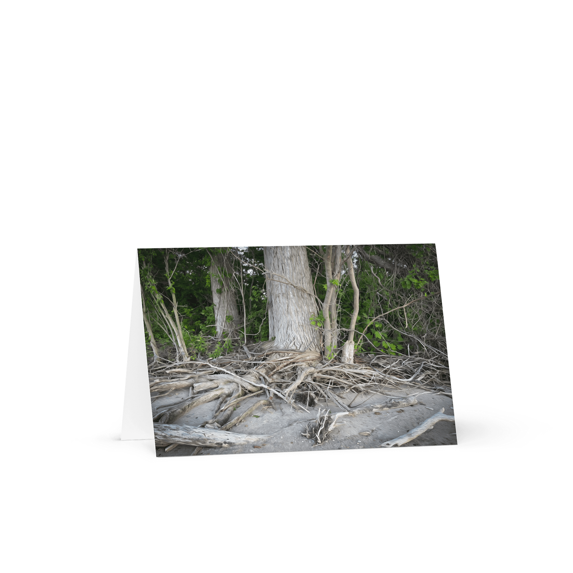 Rooted Greetings product image (1)