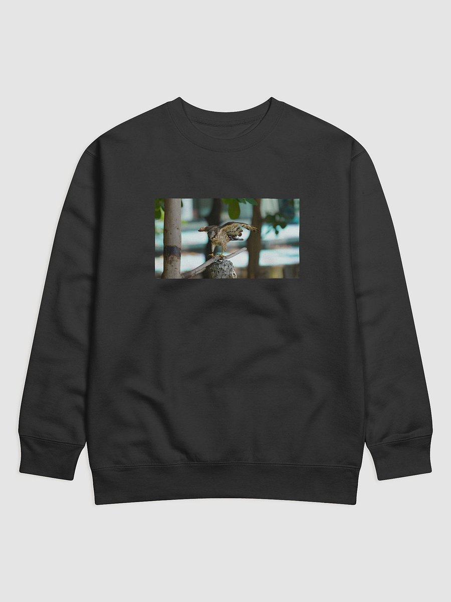 Majestic Falcon Perched Premium Sweatshirt product image (1)