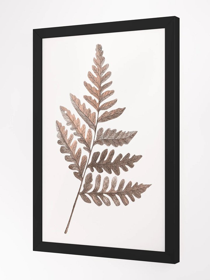Ecotone Fern #2 Framed Print product image (2)
