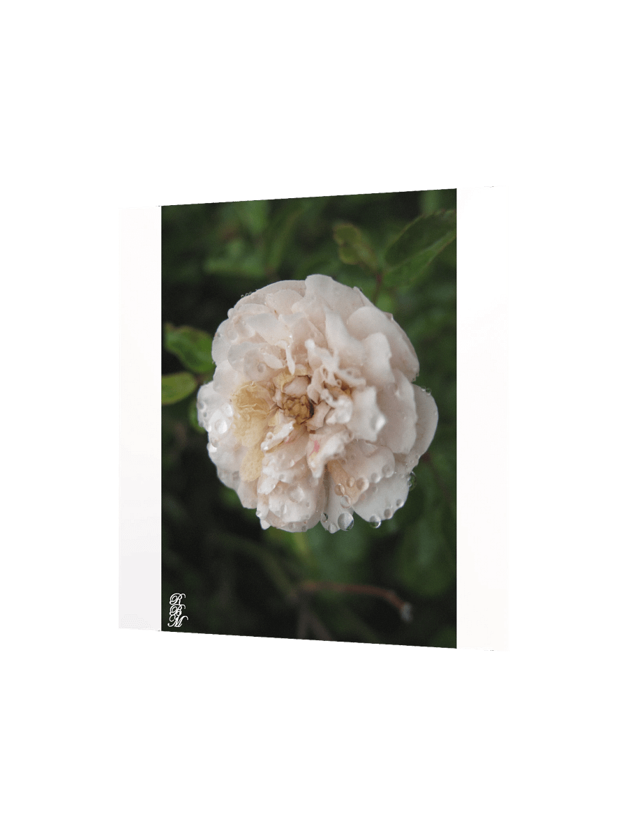 Dew on a Flower product image (7)