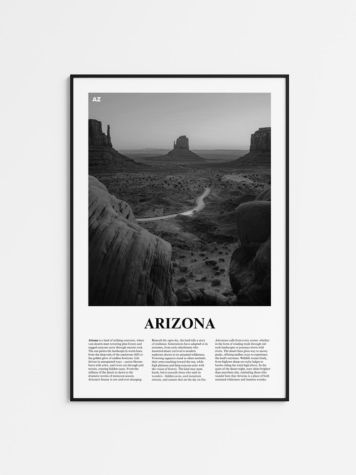 Arizona 02 Newspaper Poster product image (1)