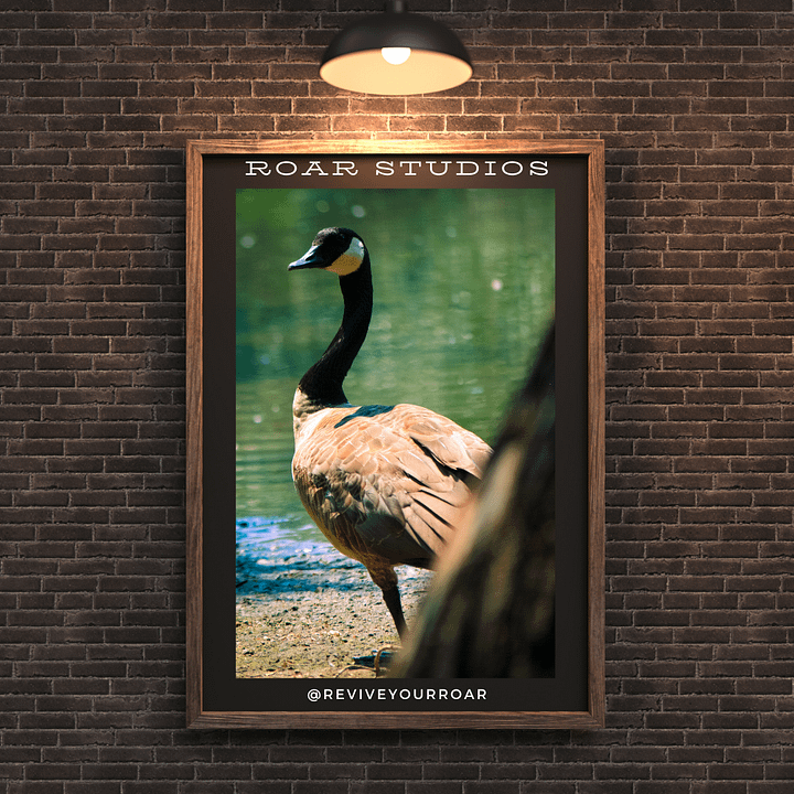 Goldilocks the Goose product image (1)