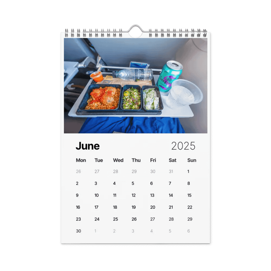 2025 Wall Calendar - Best Of: Airplane Food - (A3 or A4) product image (2)