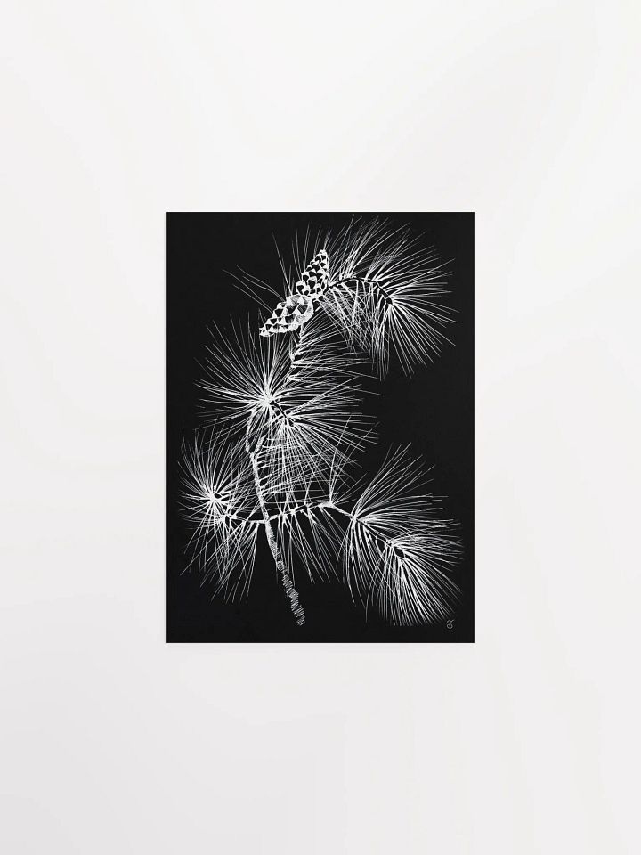 Vibrant Matte Paper Poster - Pine Branch and Cones product image (1)