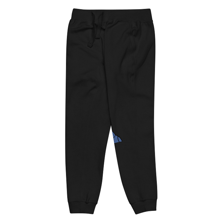 BlushSki Fleece Joggers product image (9)