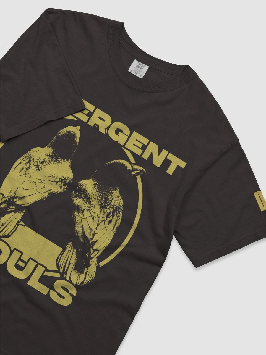 Divergent Souls - Crows Tee product image (3)