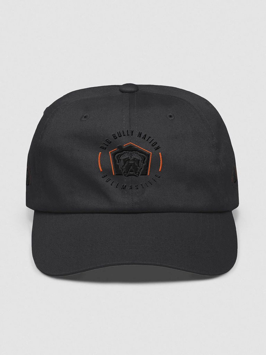 BBN Logo 2 Dad Hat product image (3)