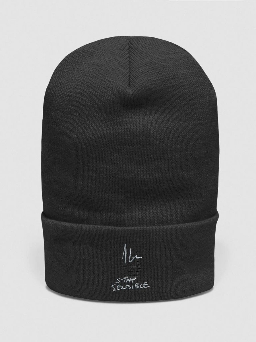 Jon Hare Stay Sensible Beanie product image (1)