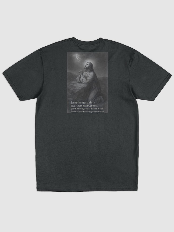 Jesus The Messiah Faith Tee – “Blessed Be Our Journey” Edition product image (2)