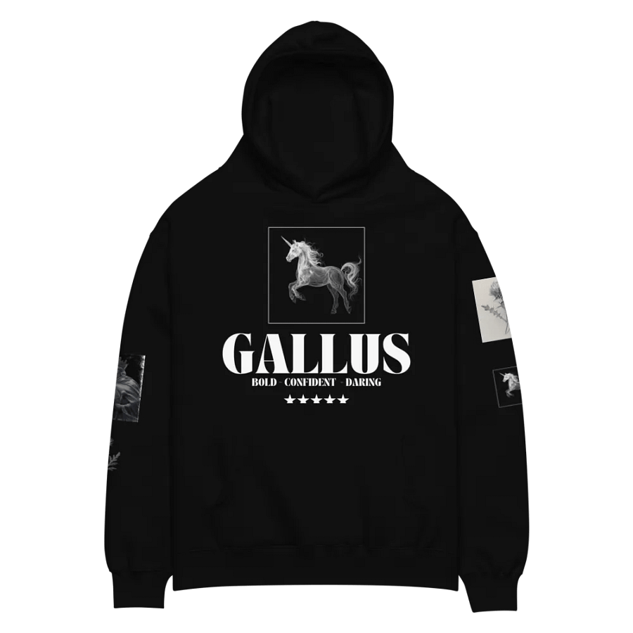 Gallus Hoodies Ltd Edition product image (2)
