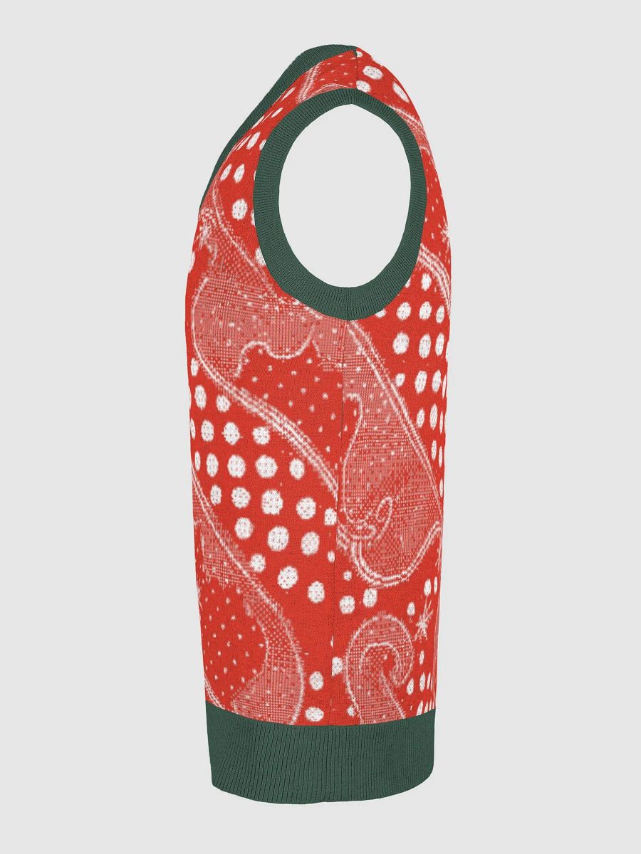 Cozy Jacquard V-Neck Vest product image (16)