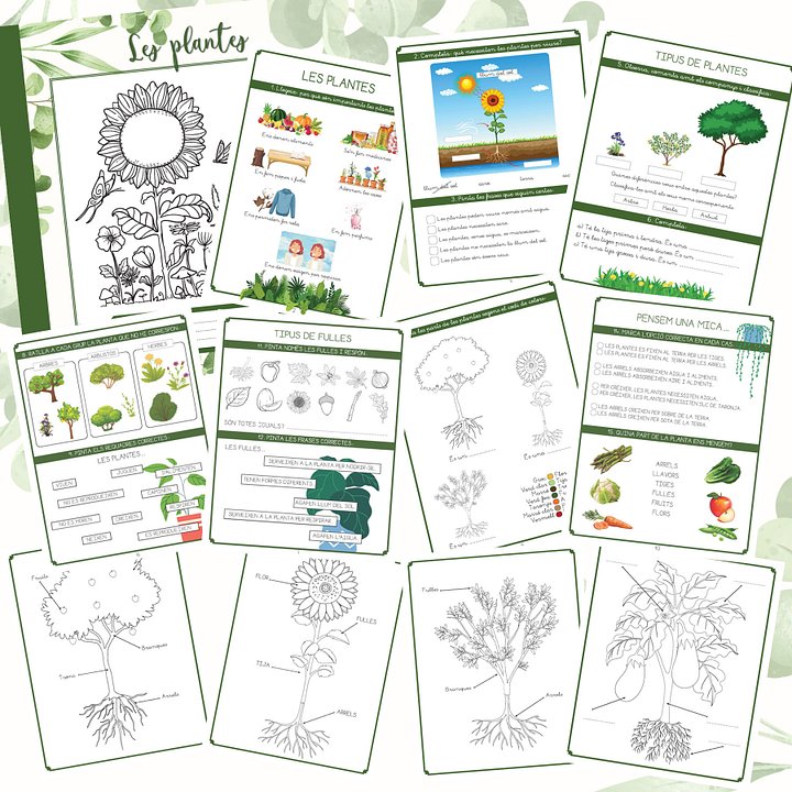 Les plantes product image (2)