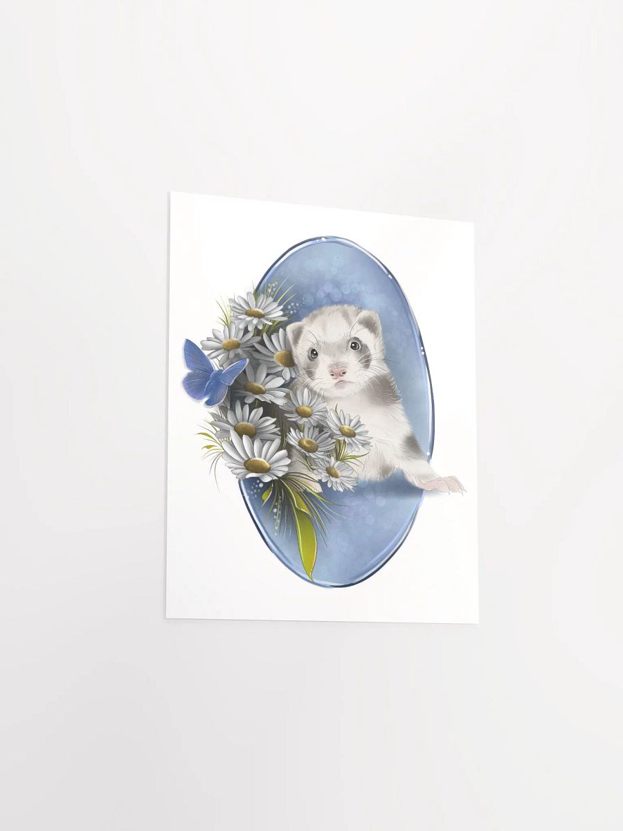 Ferret product image (7)