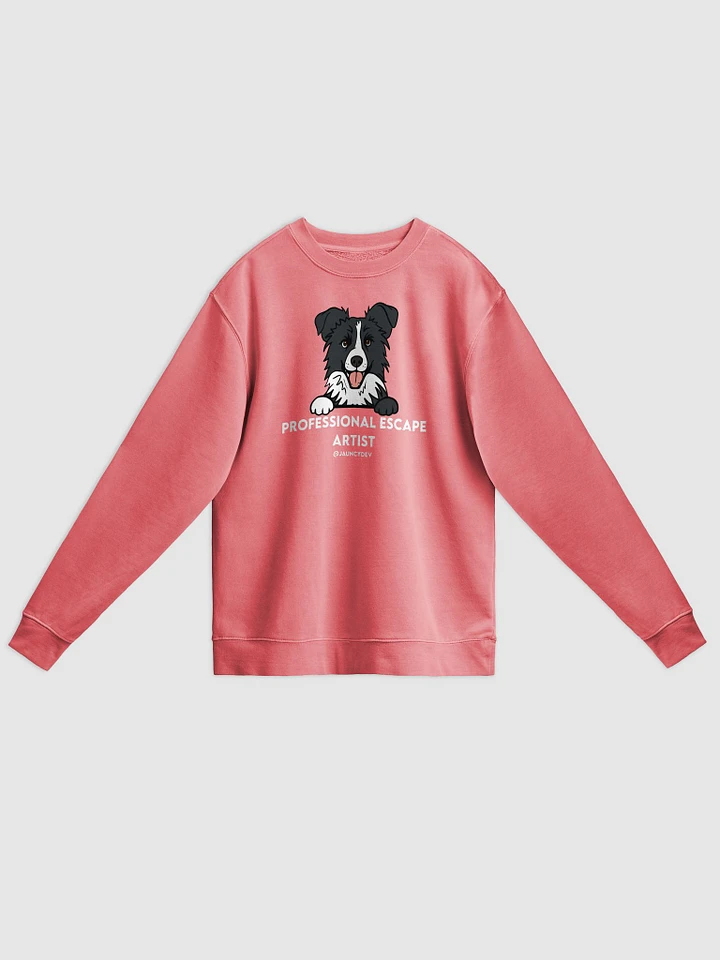 Border Collie Crewneck product image (1)