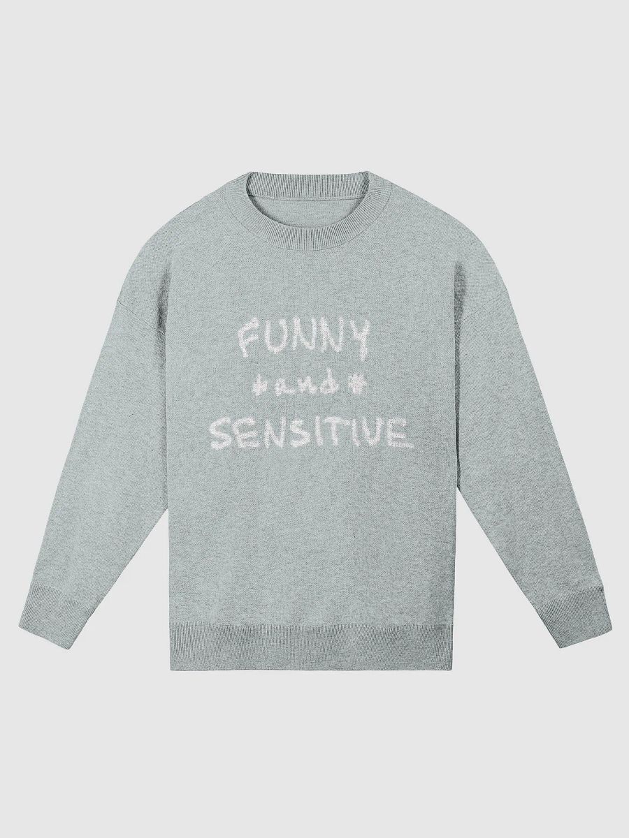 FUNNY *and* SENSITIVE (mint) knitwear crewneck product image (1)
