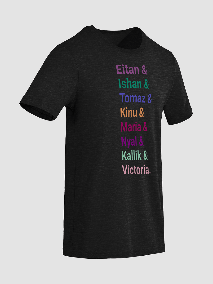 Fortune Pride Tee product image (6)