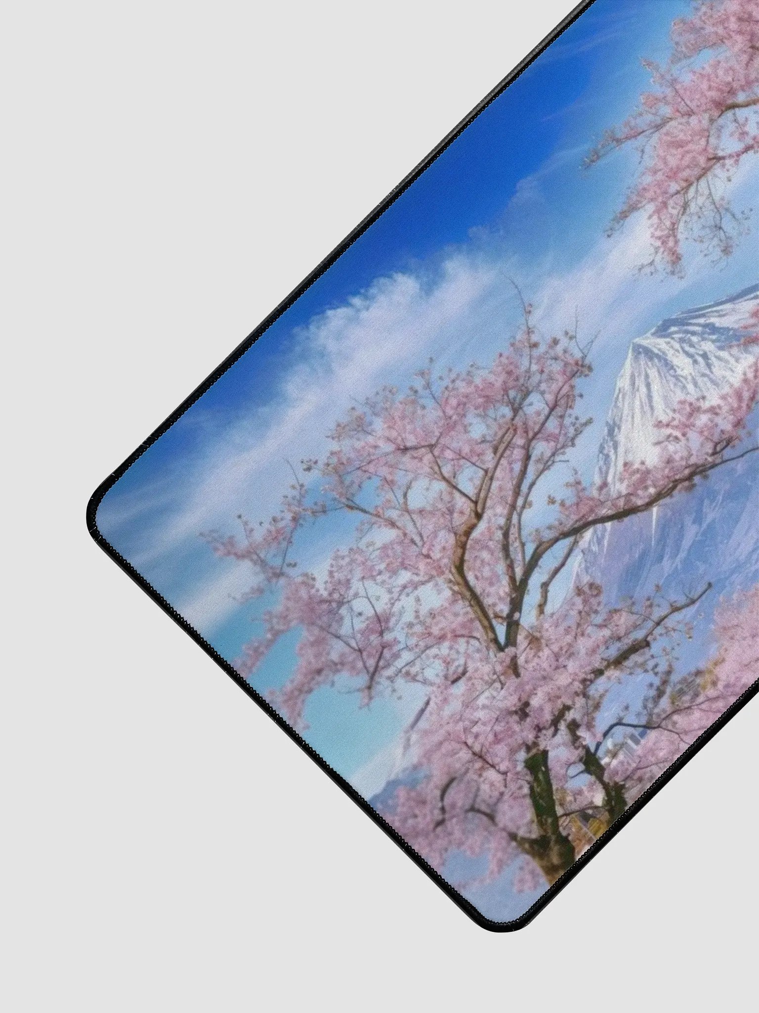 beautiful sakura trees view product image (3)