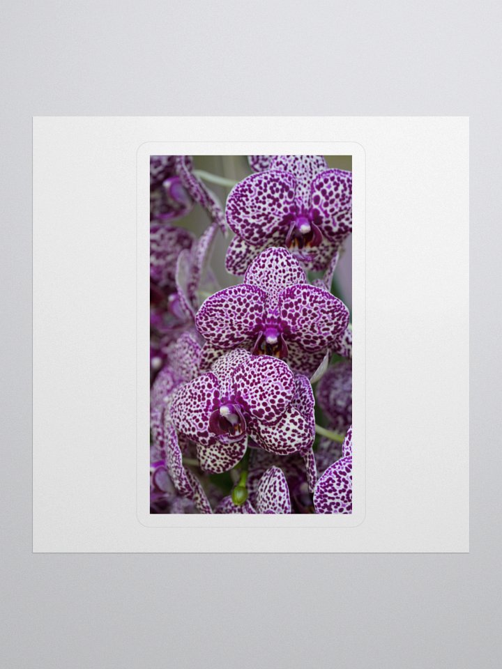 Orchid Cluster Kiss Cut Stickers product image (1)
