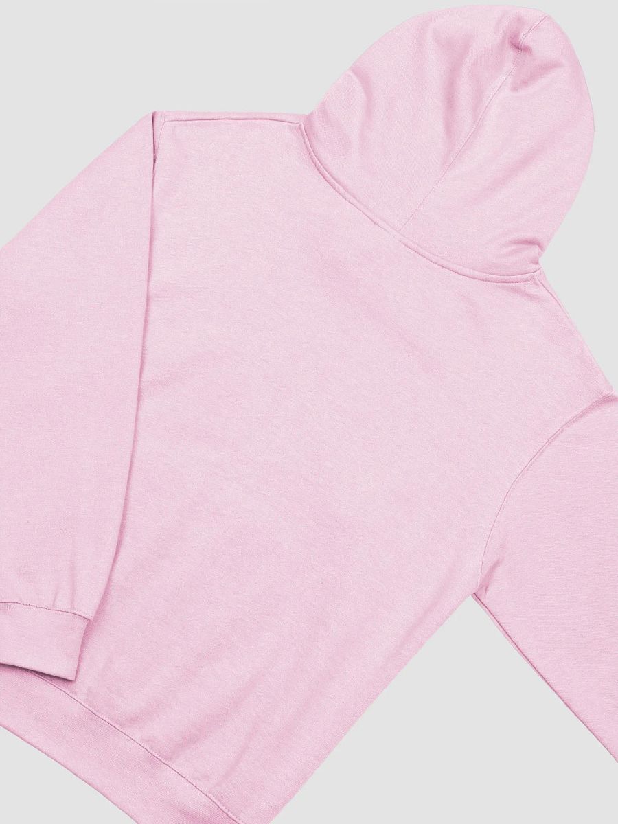 detach. hoodie product image (4)