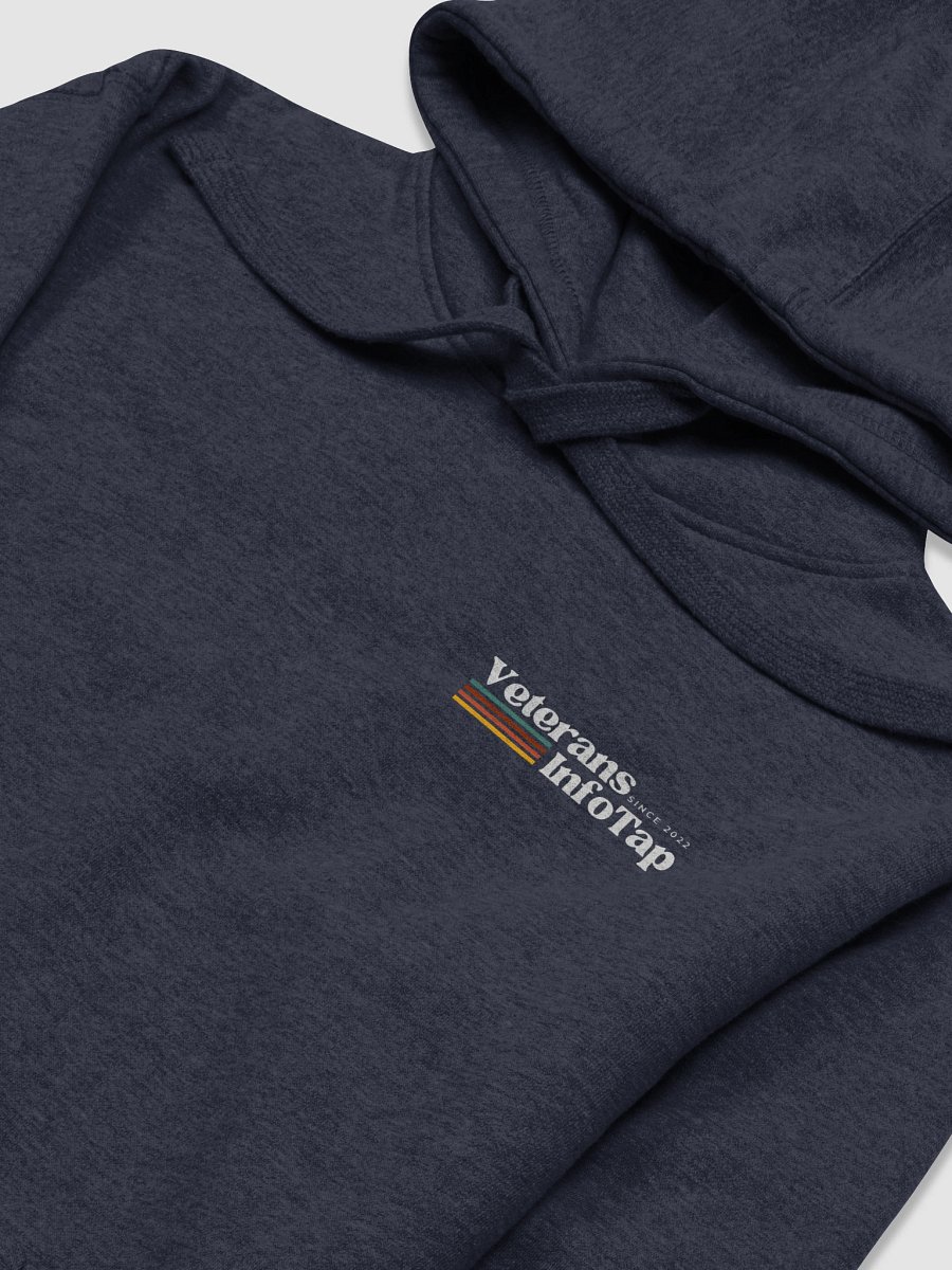 Retro VIT Hoodie By Cotton Heritage product image (3)