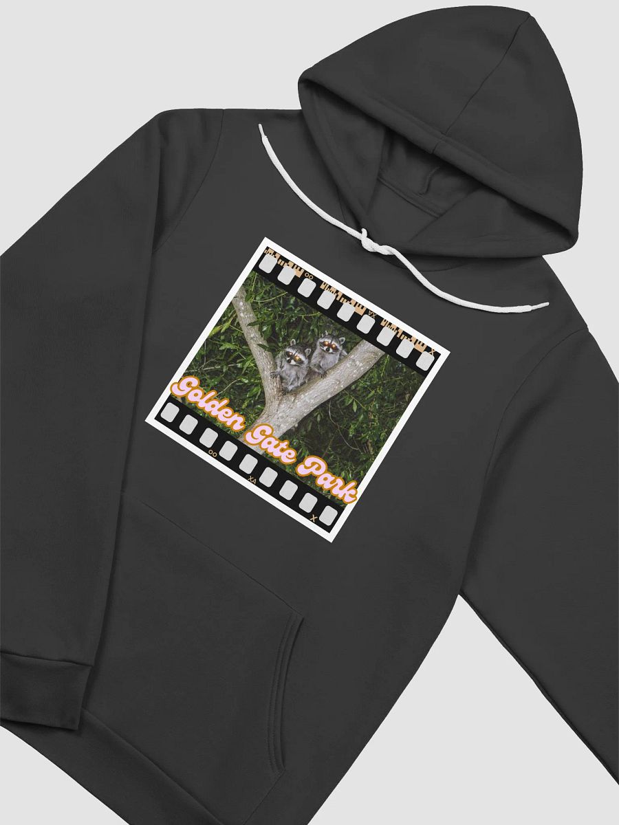 Golden Gate Park Raccoons Super Soft Hoodie (Black) product image (3)