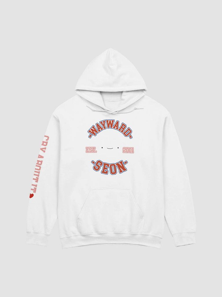 EST. 2001 HOODIE product image (1)