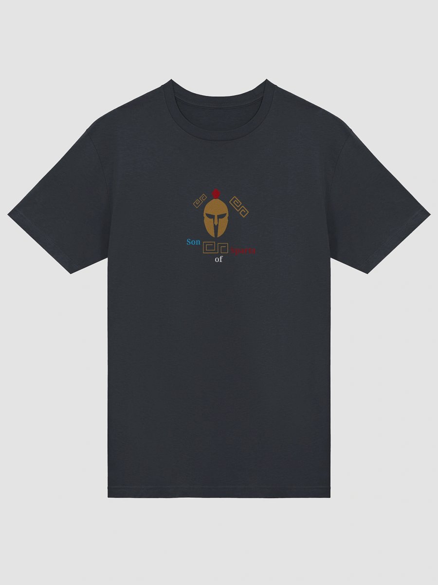 Spartan Legacy Stylized T-Shirt product image (5)