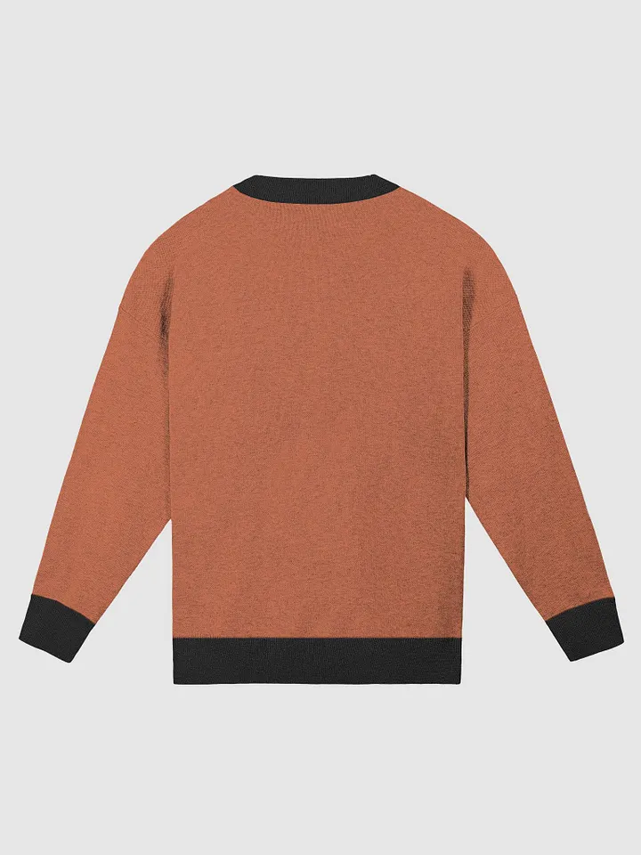 G.O.T PUMPKIN SWEATER product image (10)