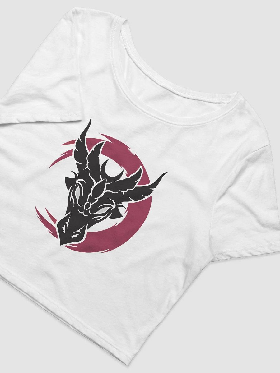 Crop Top - Aerinda product image (3)