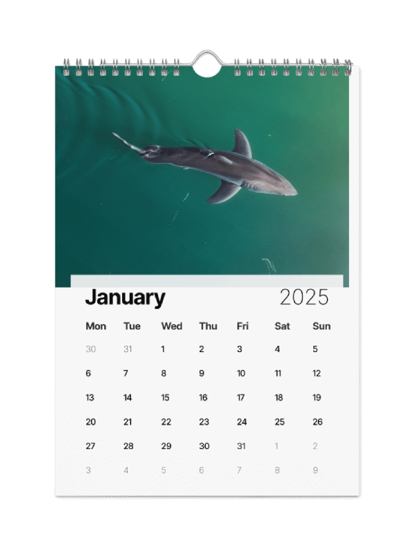 The Malibu Artist 2025 Calendar product image (2)